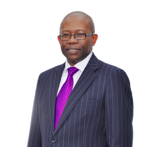 Victor Sekese (CEO of SNG Grant Thornton)